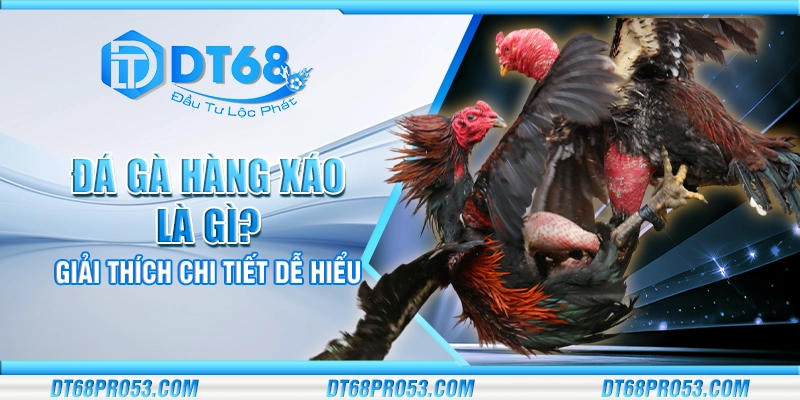 Đá gà hàng xáo là gì? Giải thích chi tiết dễ hiểu