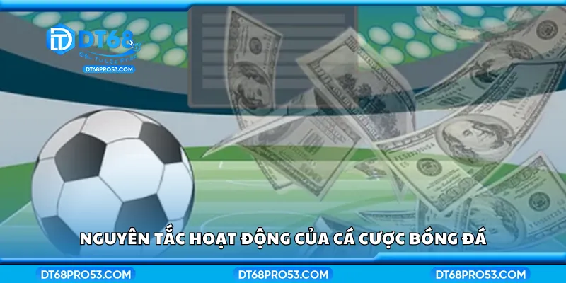 Nguyên tắc hoạt động của cá cược bóng đá