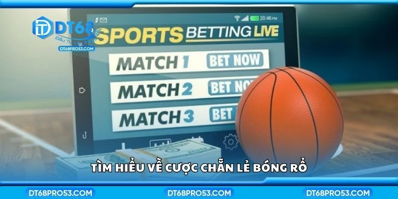 Tìm hiểu về cược chẵn lẻ bóng rổ