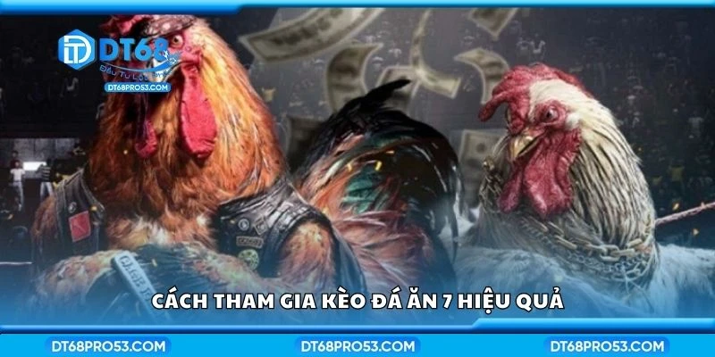 Cách tham gia kèo đá ăn 7 hiệu quả