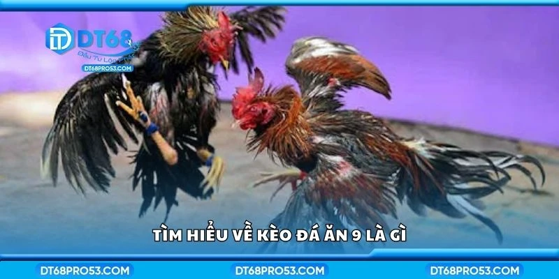 Tìm hiểu về kèo đá ăn 9 là gì