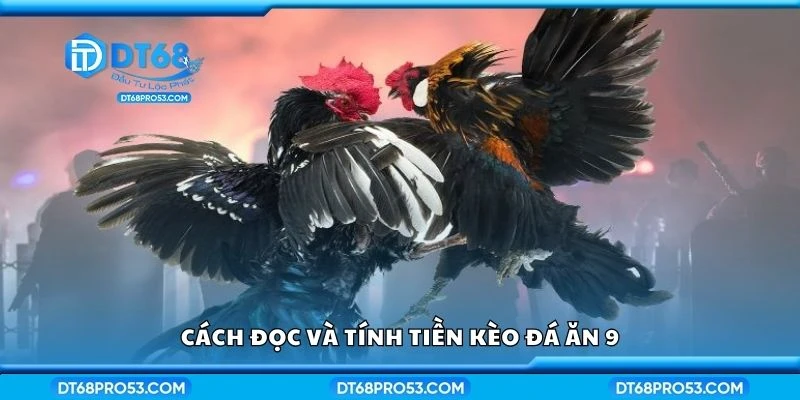 Cách đọc và tính tiền kèo đá ăn 9