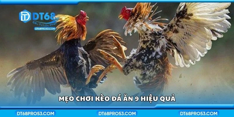 Mẹo chơi kèo đá ăn 9 hiệu quả