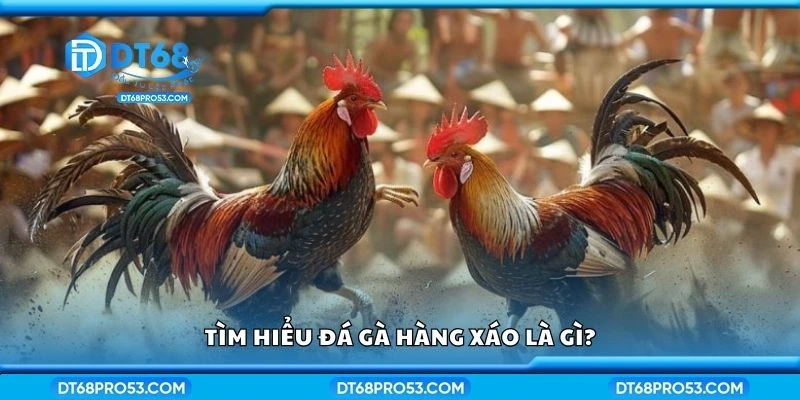 Tìm hiểu đá gà hàng xáo là gì?