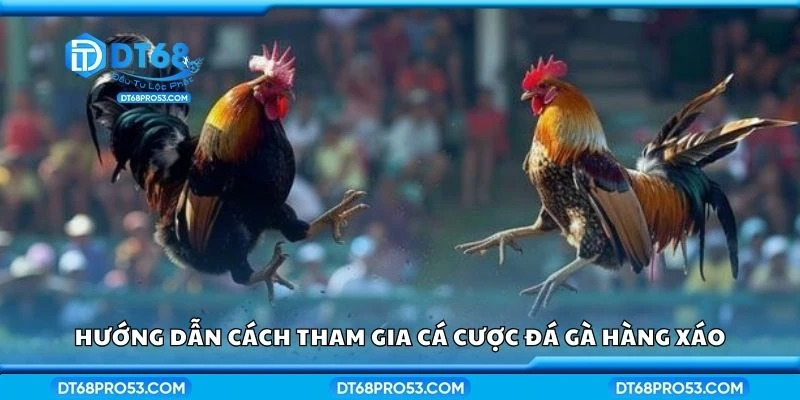Hướng dẫn cách tham gia cá cược đá gà hàng xáo