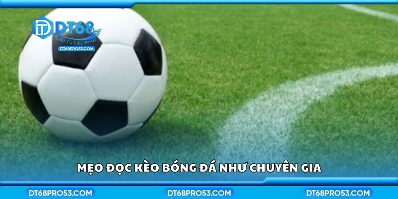 Mẹo đọc kèo bóng đá như chuyên gia