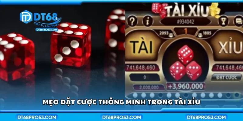 Mẹo đặt cược thông minh trong tài xỉu