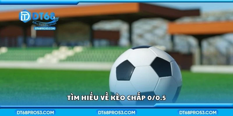 Tìm hiểu về kèo chấp 0/0.5