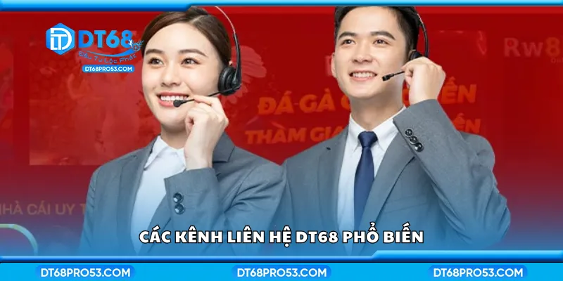 Khám phá các kênh liên hệ DT68 phổ biến