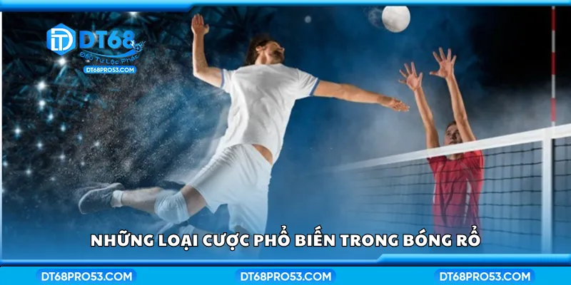 Những loại cược phổ biến trong bóng rổ