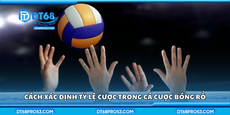 Cách xác định tỷ lệ cược trong cá cược bóng rổ