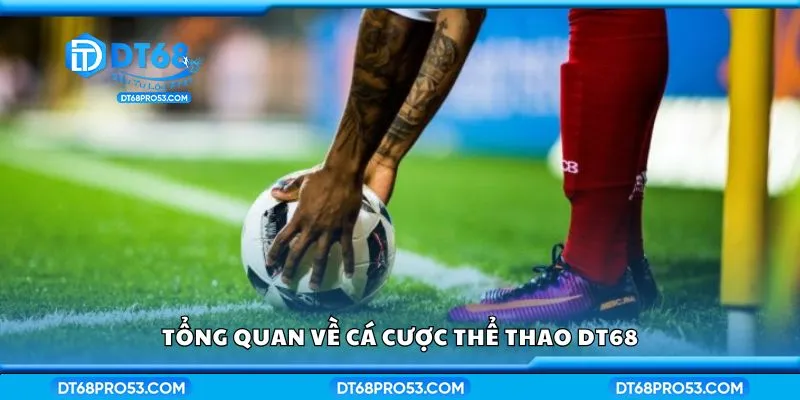 Tổng quan về cá cược thể thao DT68