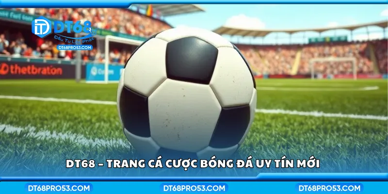 DT68 – Trang cá cược bóng đá uy tín mới