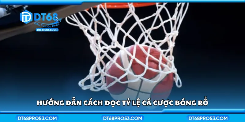Cách đọc tỷ lệ cá cược bóng rổ chi tiết