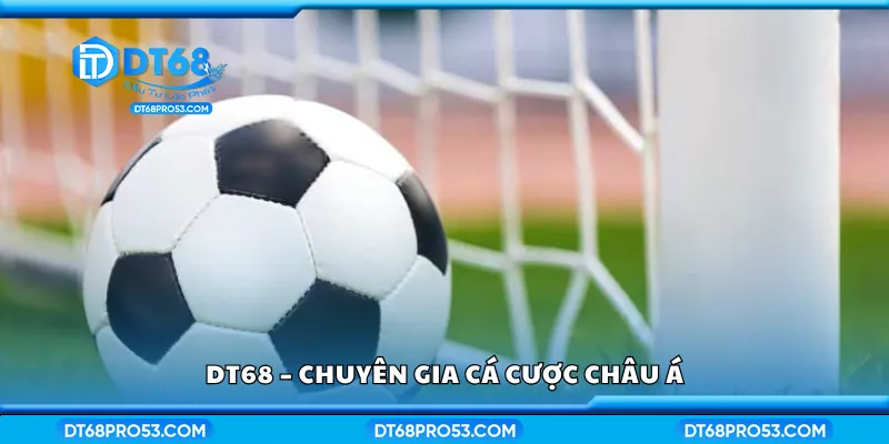 DT68 – Chuyên gia cá cược châu Á